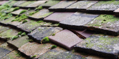 Canning roof repair costs